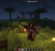 Epic gear from a variety of mods that all are tied in to epic fight