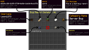 bug-report-details.png