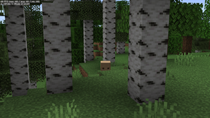 Fancy - 20 Chunks Render distance - solid 60 FPS during normal gameplay