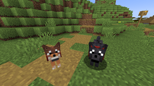 New Dog Models