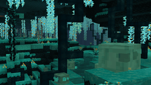Multiverse Dimensions
