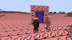 Pigtopia