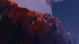 What a Forest