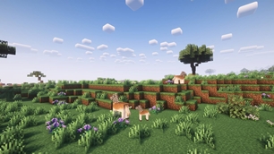 (1.18) Quagga Family