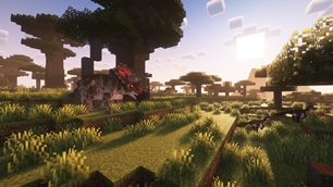 (1.18) Baobab Triceratops