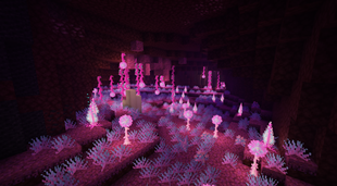 Nether