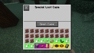 Special Case