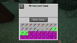 Arrow Case