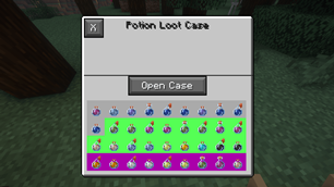 Potion Case