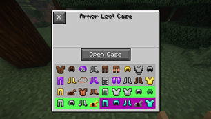 Armor Case