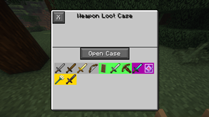 Weapon Case