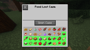Food Case