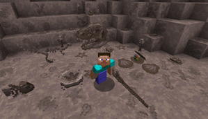Fossils