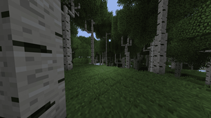 treees.png