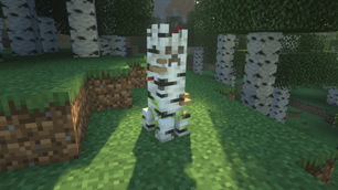 Birch creeper