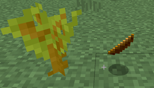 acacia.png