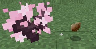 cherry.png