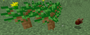 darkOak.png