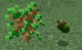 oak.png