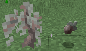 paleOak.11.png