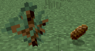 spruce.png