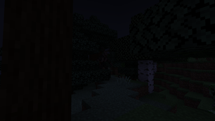 Woods3