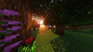 Shader Test