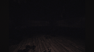 Looks Like Something Destroyed And Killed Everything In This House...