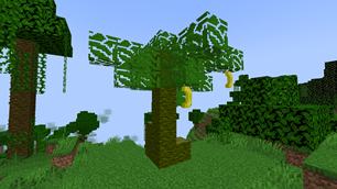 banana tree