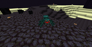 Cave Spider