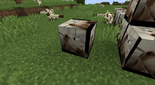 8.png