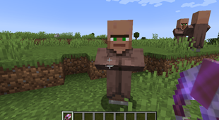 14.png