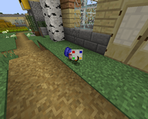 some new items