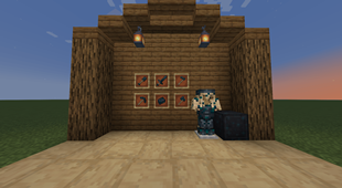 Sculk-Items