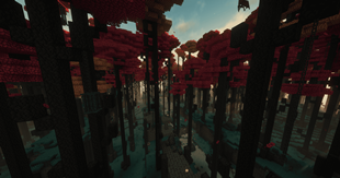 Dungeon Dimension