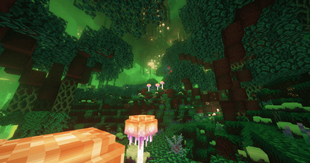 Nether dimension