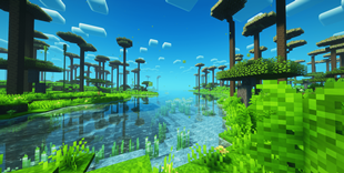 biome over view 4.png