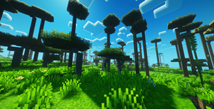 biome over view 5.png