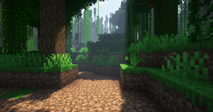 Jungle
