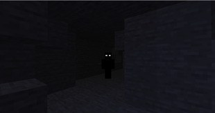 The watcher