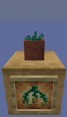 Potted Torch Flower Seeds
