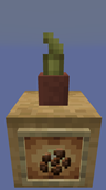 Potted Cocoa