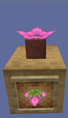 Potted Spore Blossom