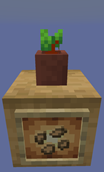 Potted Beetroots