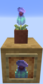 Potted Pitcher Plant