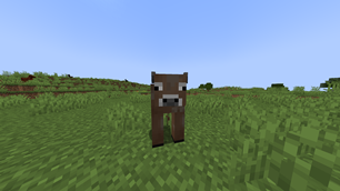 Chocolate Cow