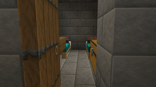 Villager Dungeon Bedroom