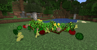 screenshot 1.png