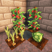 pack - Copy.png