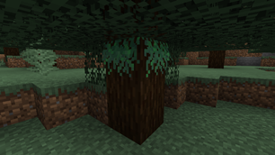 Hanging grove moss generated on a tree